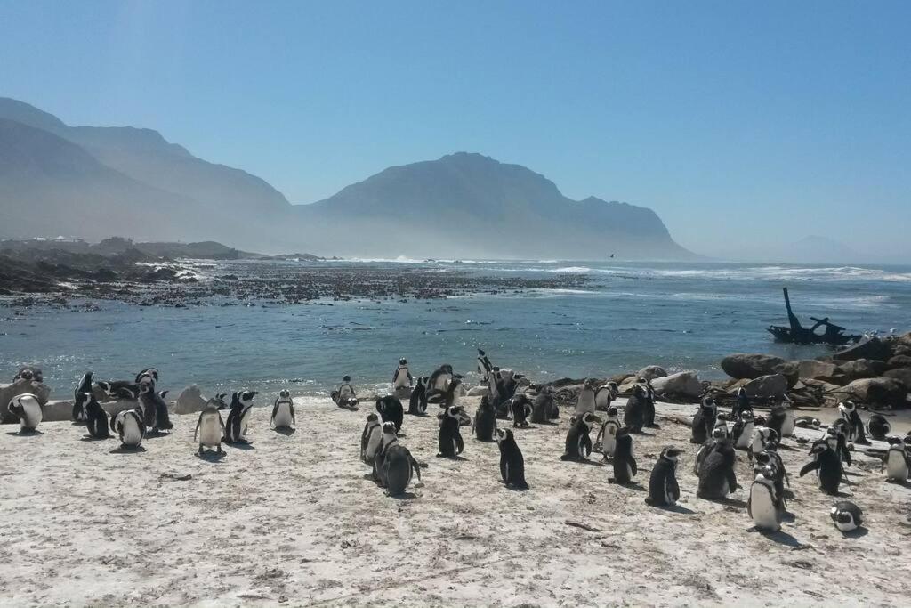 فيلا Heaven'S Door Bettyʼs Bay المظهر الخارجي الصورة