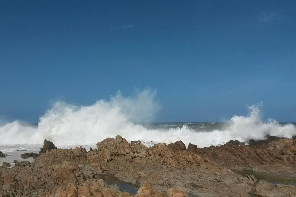 فيلا Heaven'S Door Bettyʼs Bay المظهر الخارجي الصورة